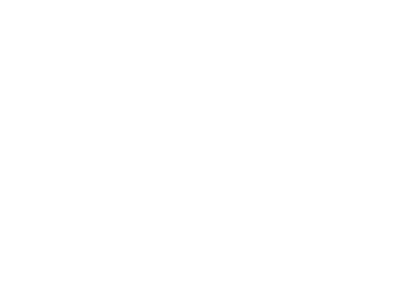 チャーシュートリパイタンチャーシュー